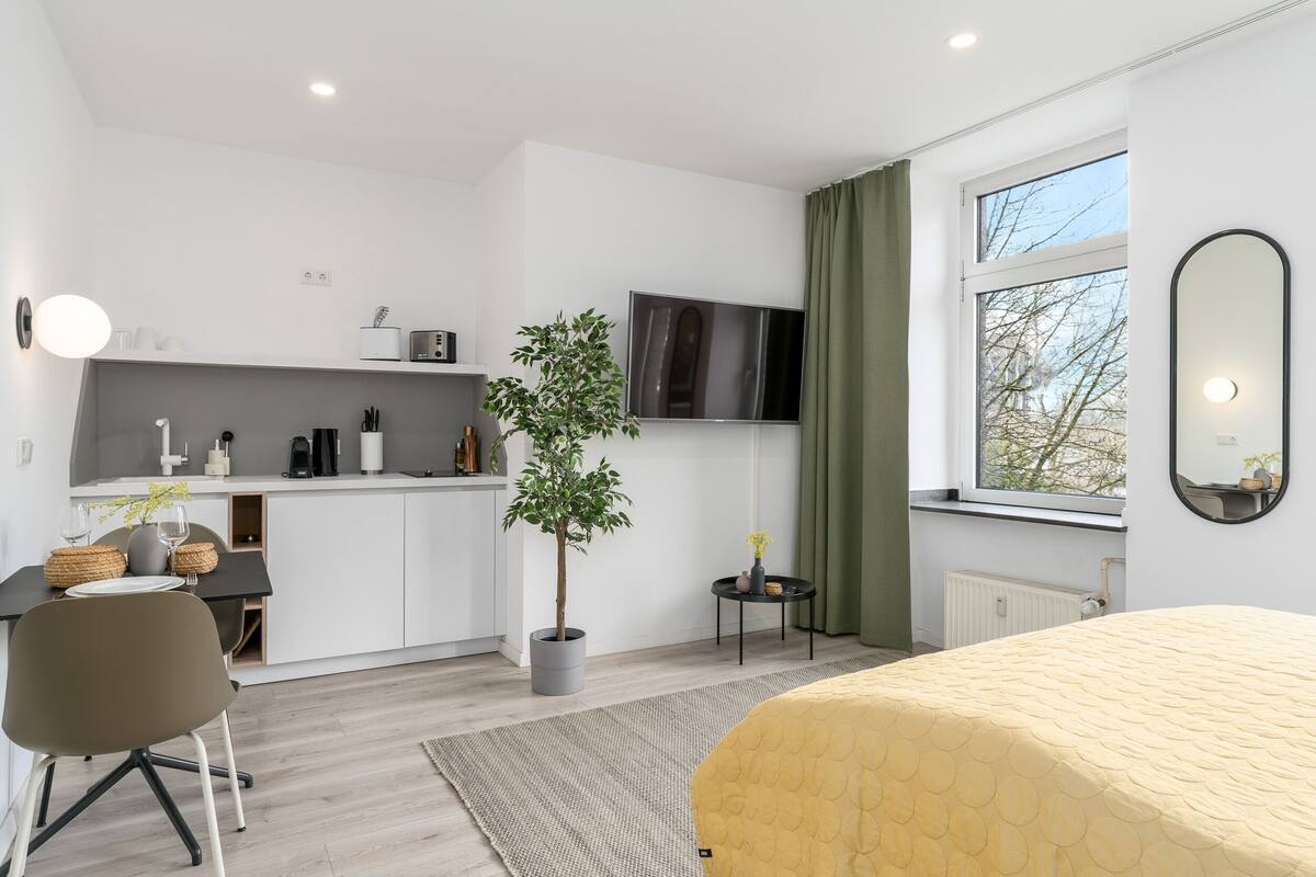 A modern, well-lit room with a bed, a dining area, a small kitchen, a potted plant, and a large window.