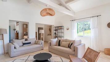 Smart TV, fireplace, video games, DVD player