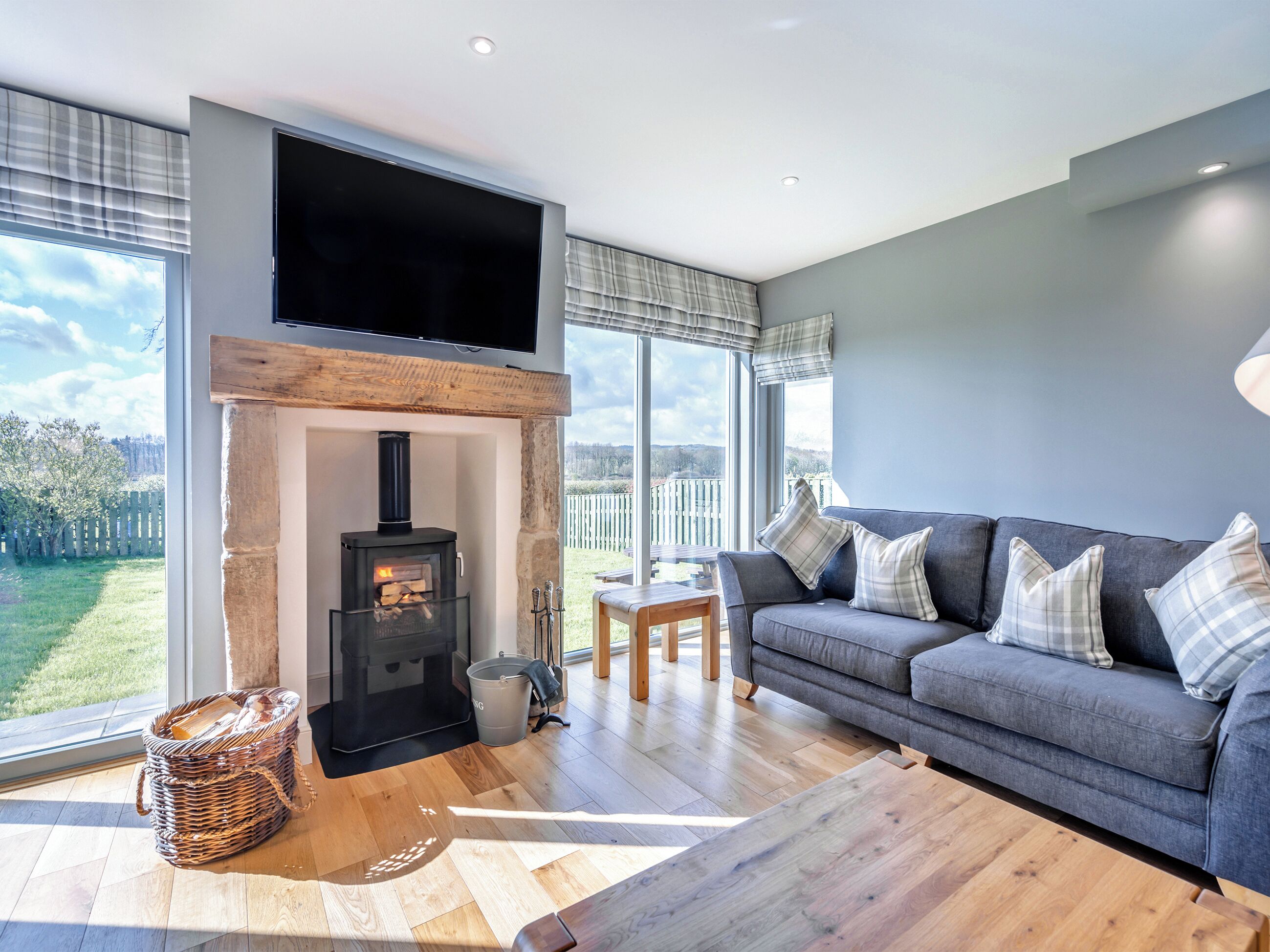 TV, fireplace