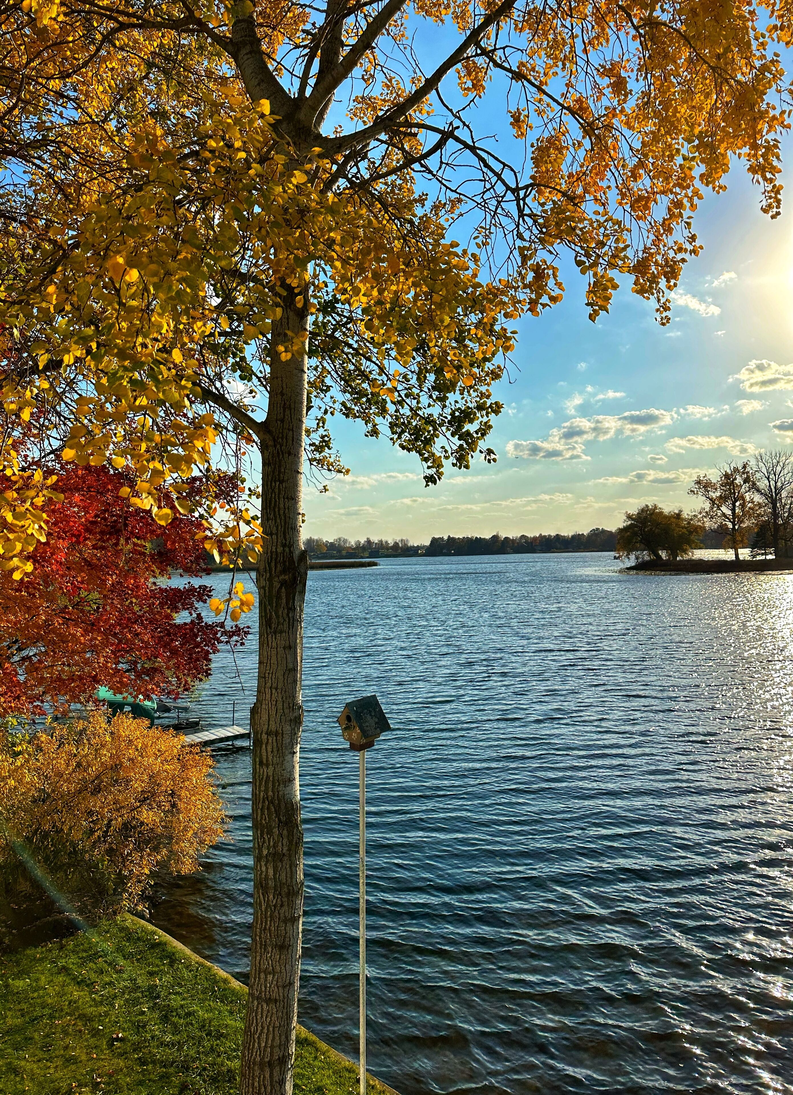 A lake with autumn foliage, a dock, and a birdhouse.