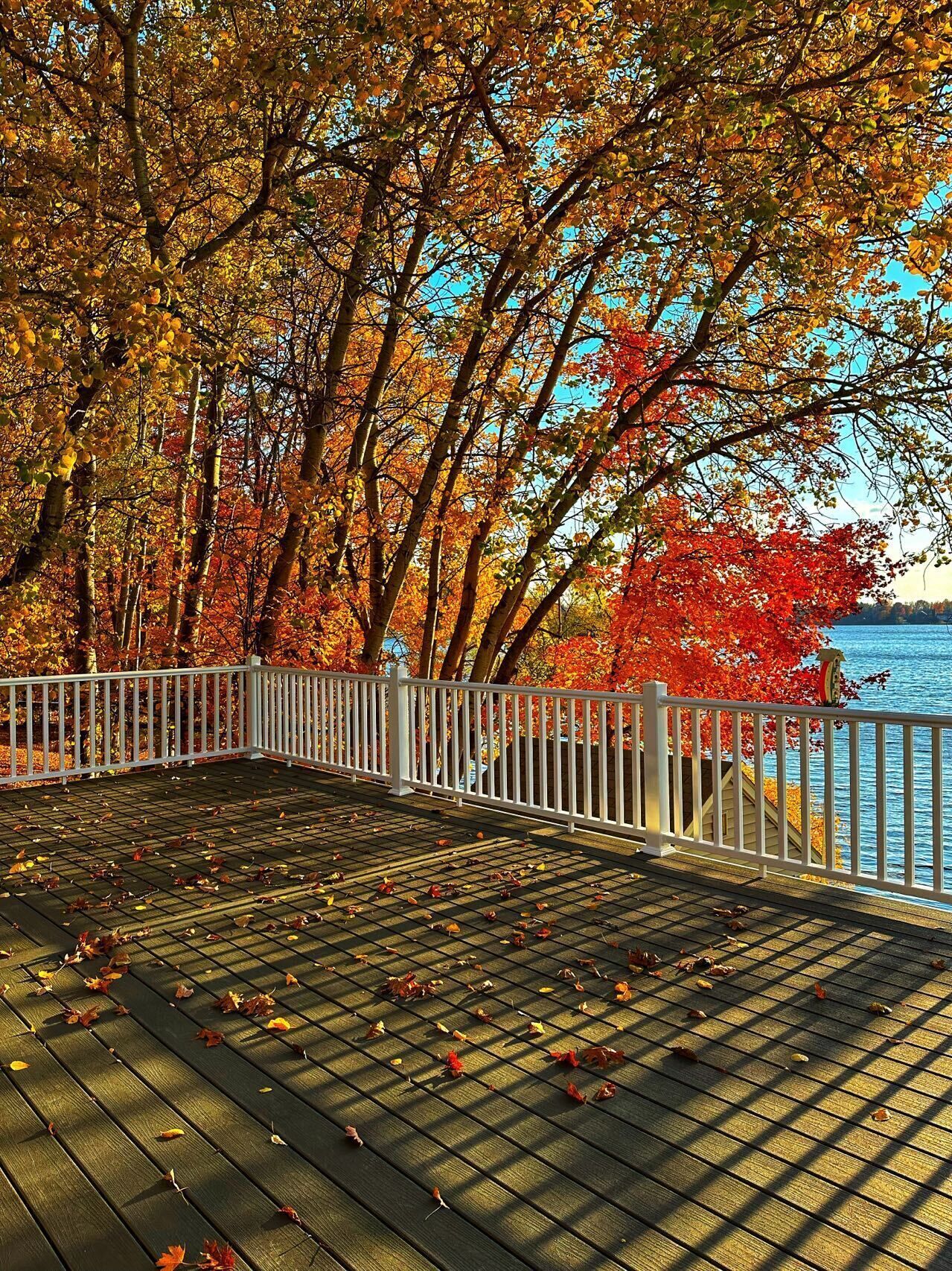A wooden deck with a white railing overlooking a body of water, surrounded by trees with autumn foliage.