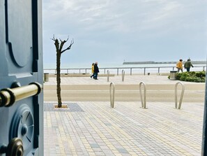 Beach/ocean view