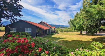 New listing, 4 bed 2.5 bath, amazing view of Mt Adams minutes from Downtown