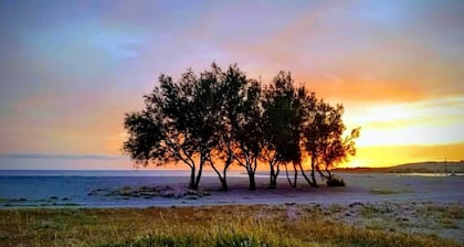 Cozy apartment 100 meters from the beach