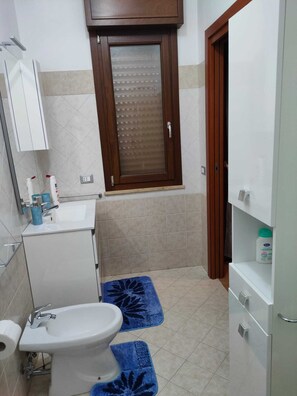 Chuveiro, secador de cabelo, bidê, toalhas de banho