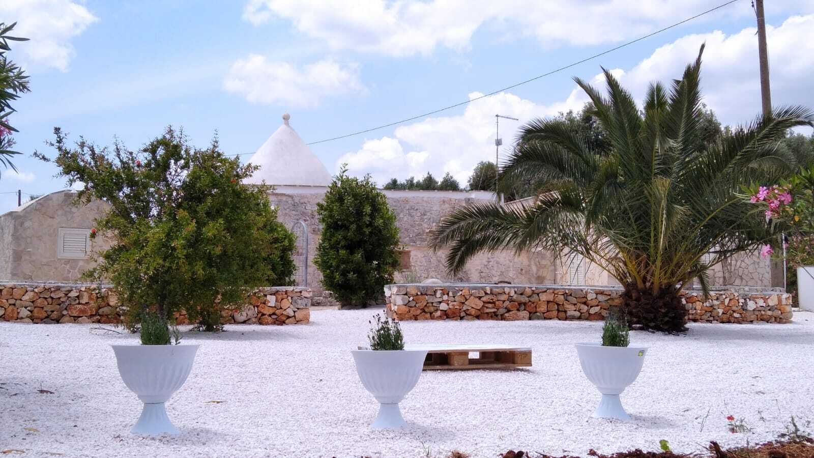 Characteristic Trullo, surrounded by secular olive trees