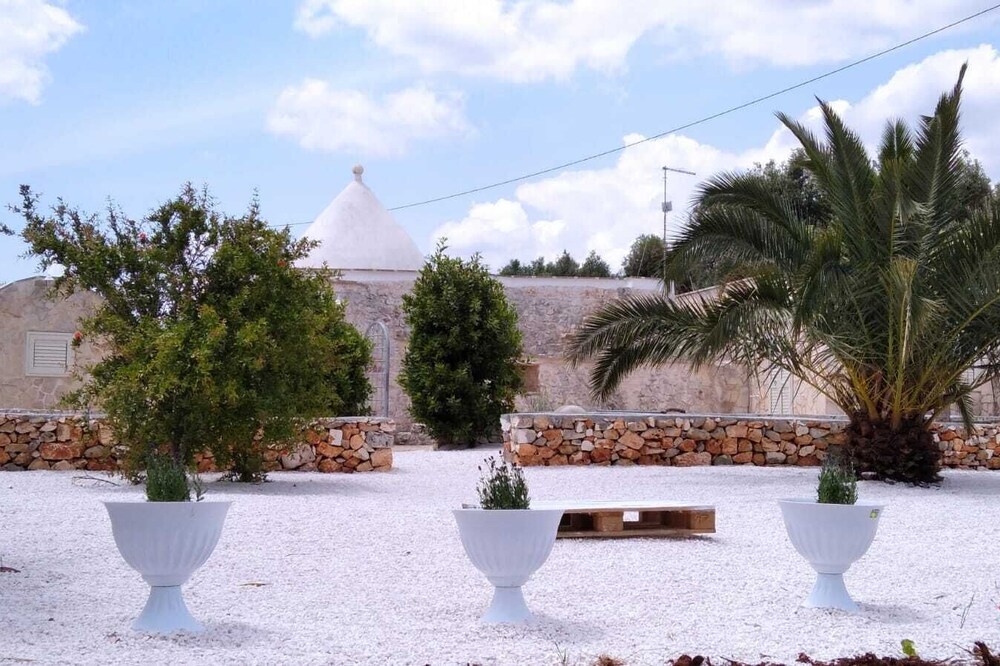 Characteristic Trullo, surrounded by secular olive trees