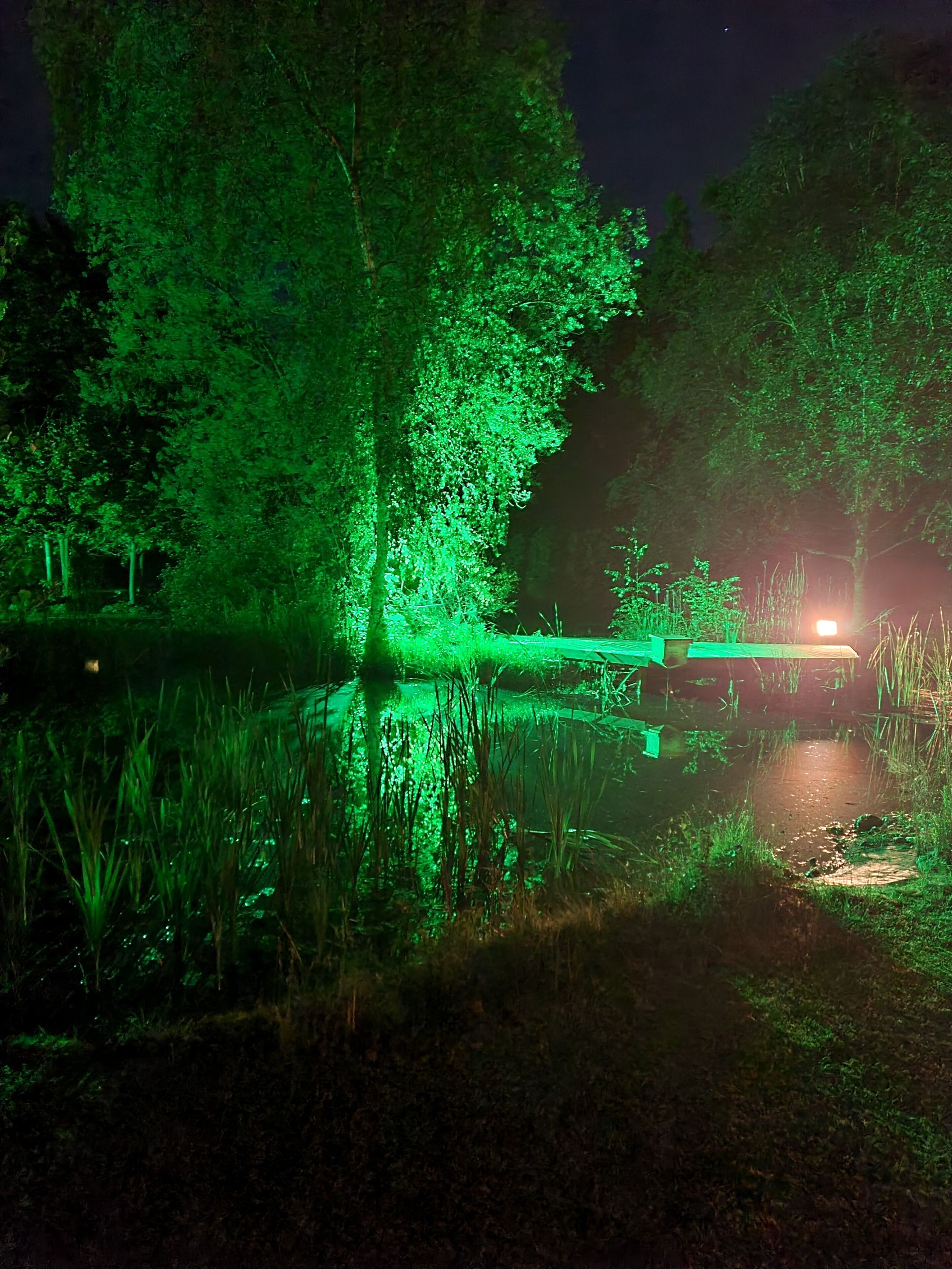 Reading whole private chalet with two acre gardens and lake