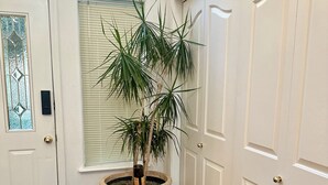A potted palm tree in a large pot by a white door with a glass window. - Stunning and Luxurious Riverfront home for 6 with two king beds. Pet Friendly! (Westwood)