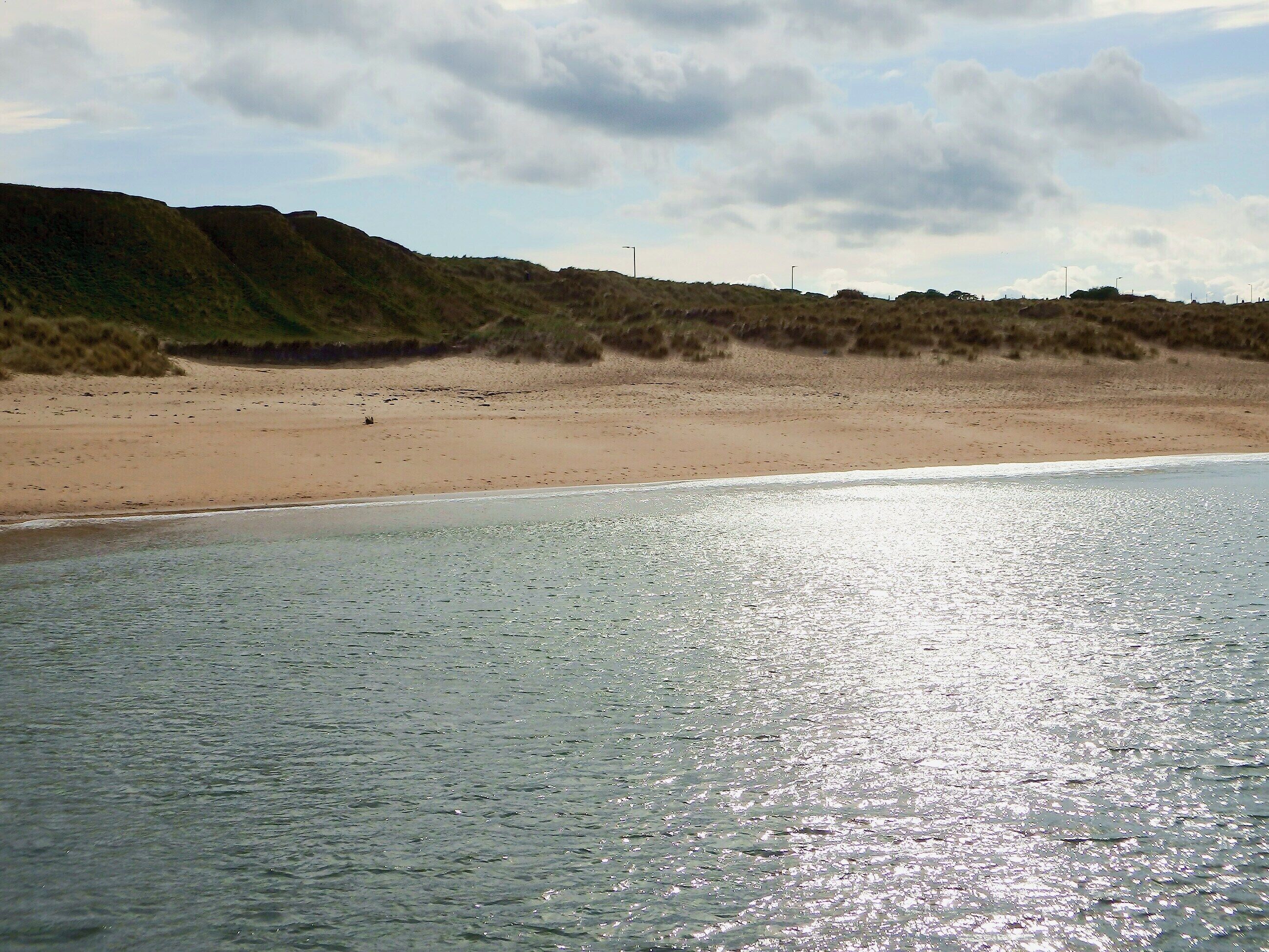 Une plage avec un rivage sablonneux et des dunes herbeuses en arrière-plan.