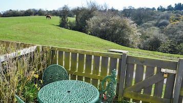 Une table et des chaises en métal vert se trouvent dans un jardin, délimité par une clôture en bois et agrémenté d’un portail.