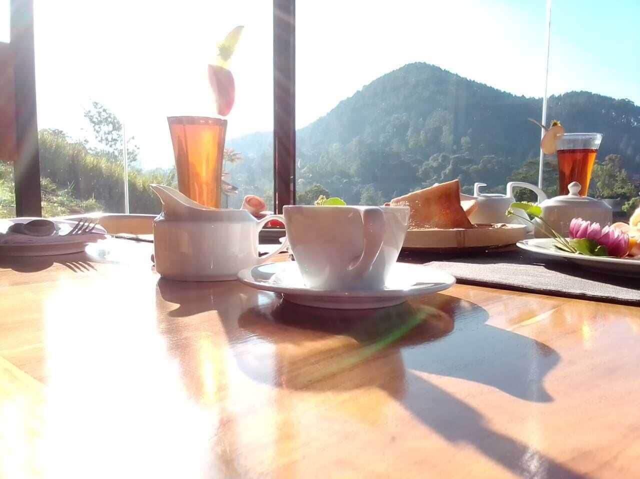 Una mesa con una taza, un platillo y una copa de té, frente a un paisaje montañoso.