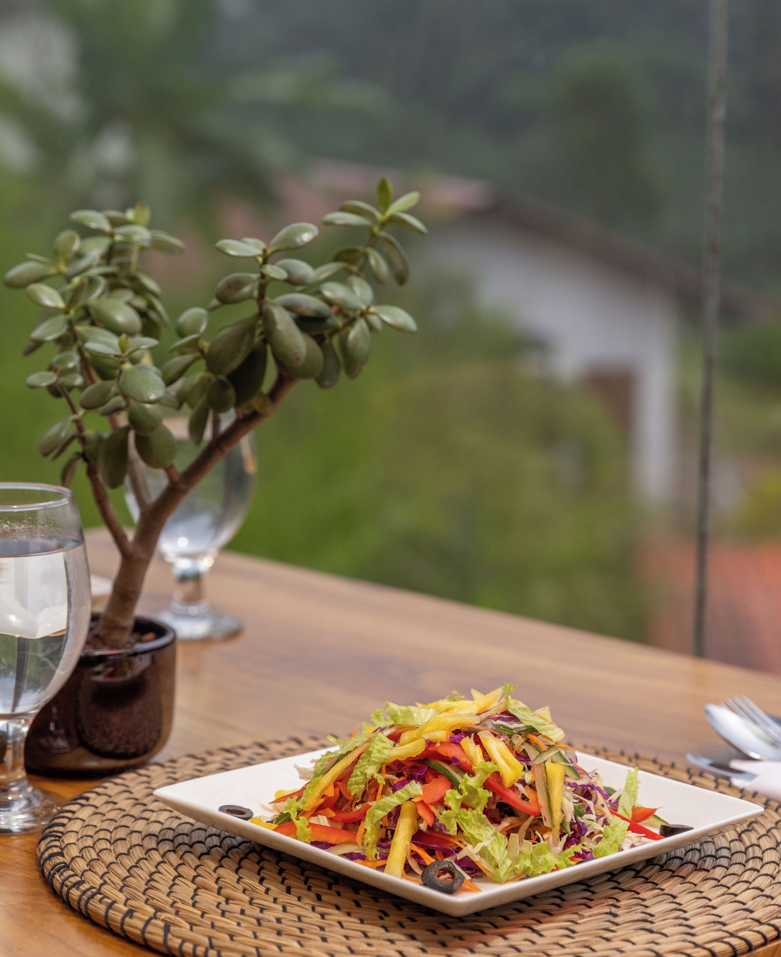 A table with a plate of colorful salad, a glass of water, and a small potted plant.