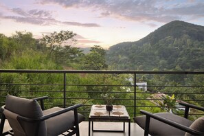 Vue depuis le balcon