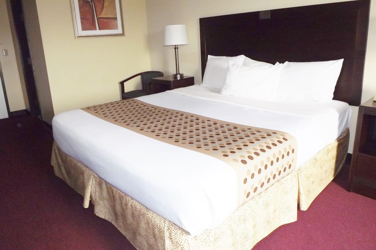 A hotel room with a large bed, a nightstand, a lamp, and a framed picture on the wall.