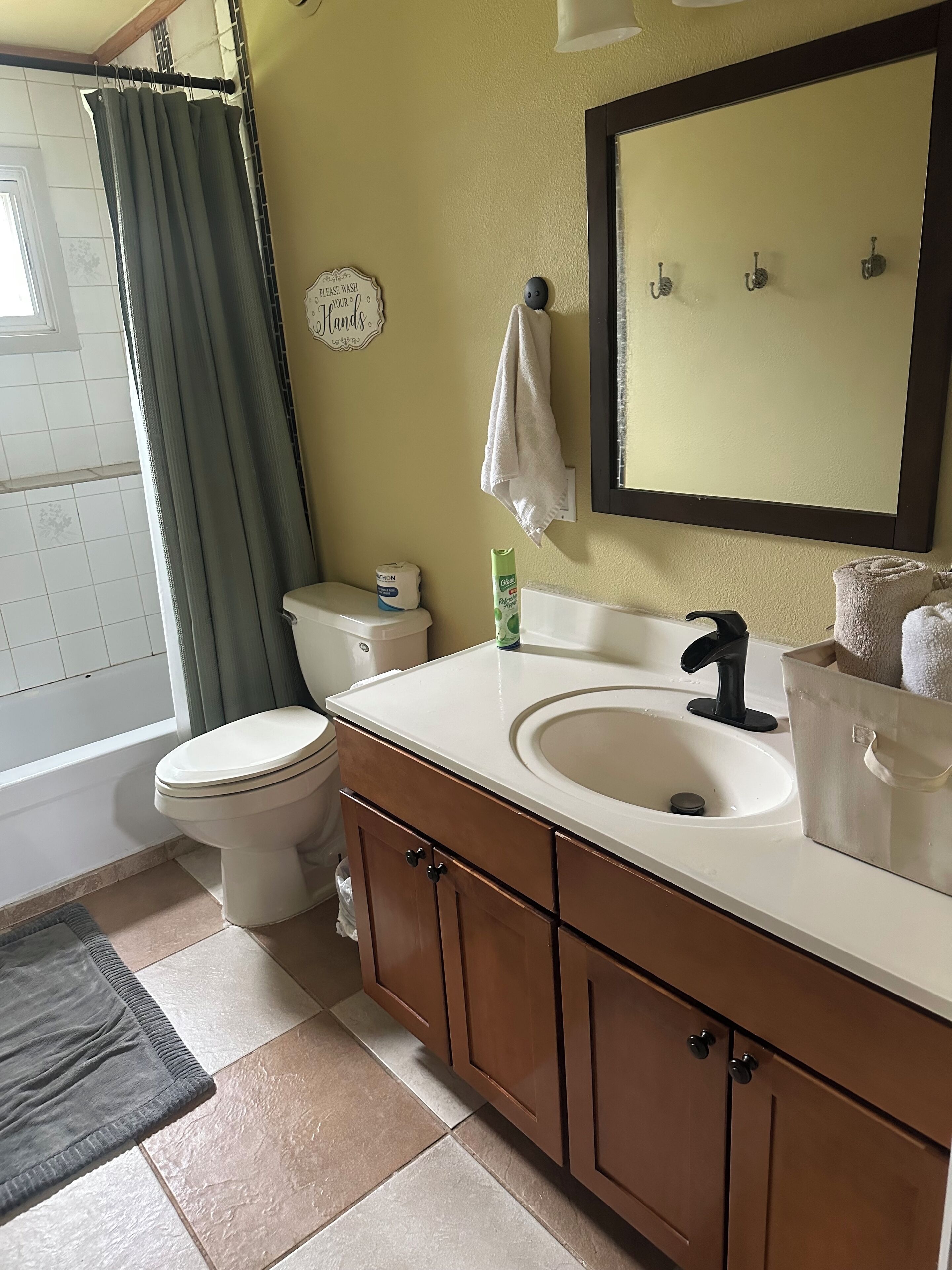 Hiustenkuivaaja, pyyhkeet, saippua, sampoo