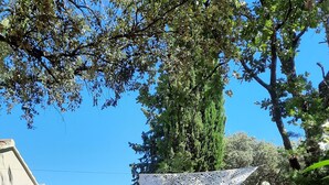Un patio con mesa y sillas, rodeado de plantas y árboles.