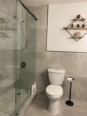 Regadera, tina de hidromasaje, secadora de cabello, bidet 