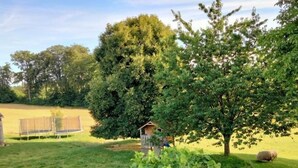Un campo cubierto de césped con un árbol grande, una construcción de madera y una cerca.