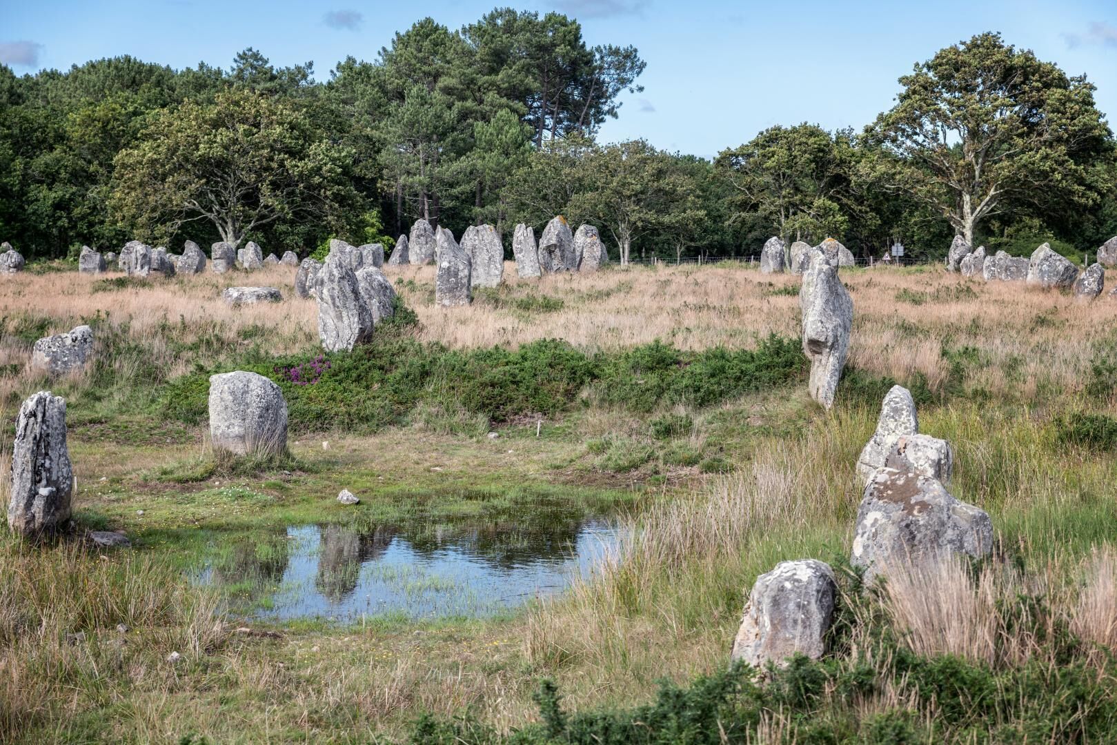 A natural landscape with a series of standing stones and a small pond.