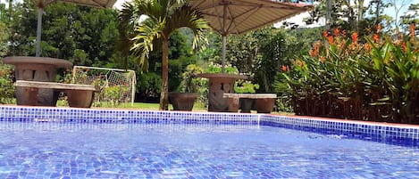 Indoor/outdoor pool
