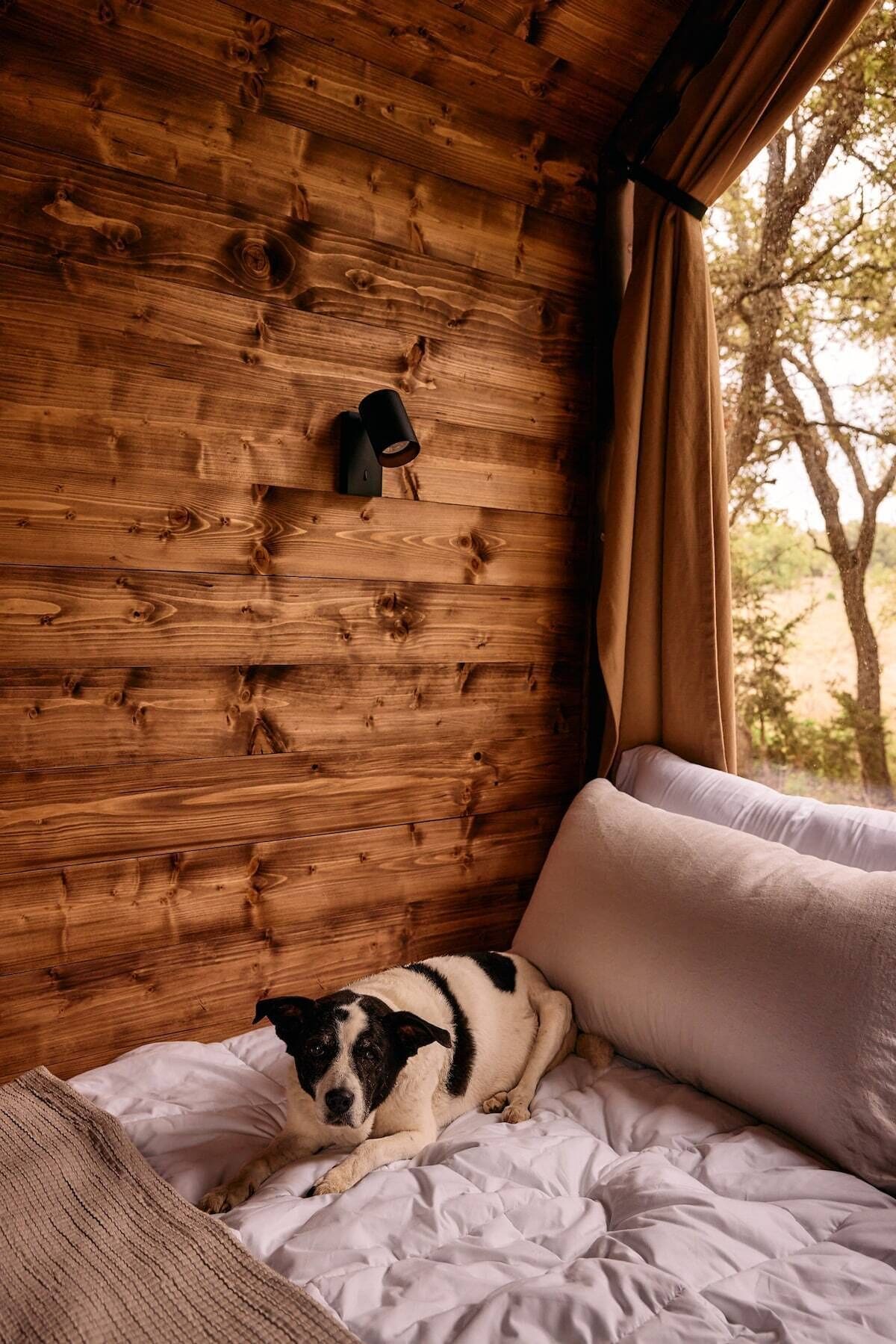 Agave Cabin at NowHere