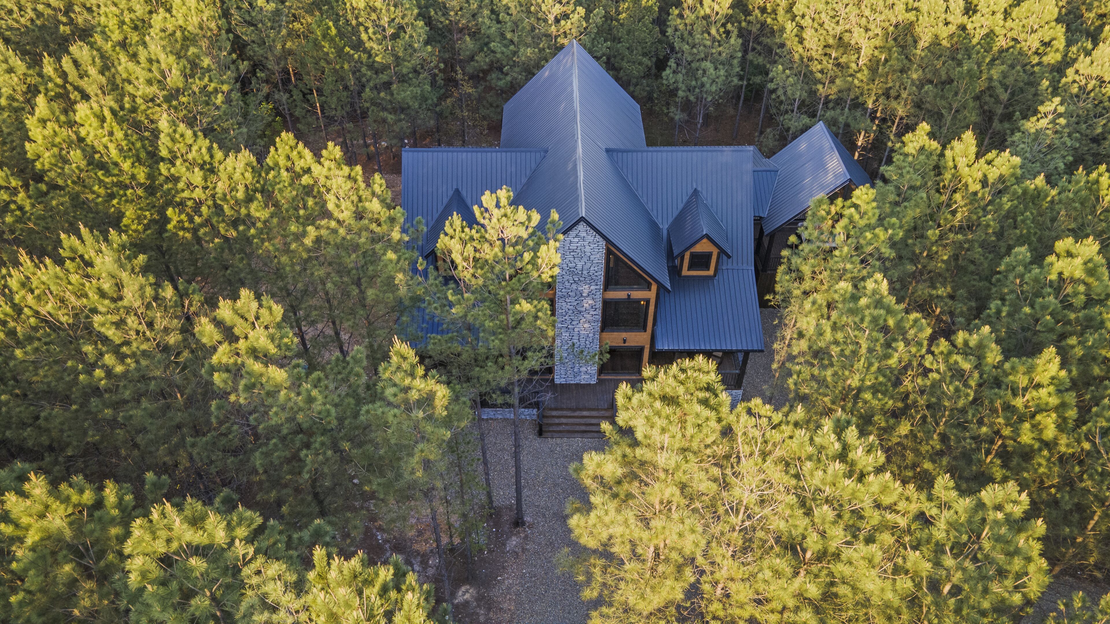 A modern house with a steeply pitched roof, surrounded by dense forest.