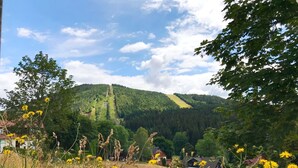 A rural landscape with a mountain, houses, and a field of yellow flowers. - Harrachov 141 by Interhome (Harrachov)