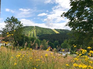Un paysage rural avec une montagne, des maisons et un champ de fleurs jaunes.