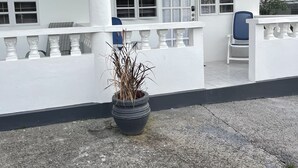 Een wit gebouw met een overdekte veranda, een potplant en een blauwe stoel.