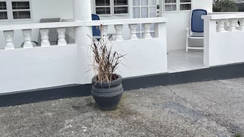 Terras