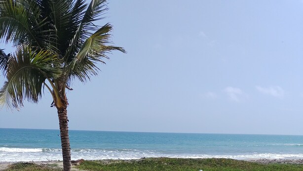 A swimming pool with a view of the ocean and a fenced garden area with various plants. - Cabañas Vistamar  (Crucita)