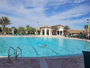 A swimming pool with clear lanes, surrounded by lounge chairs and palm trees.