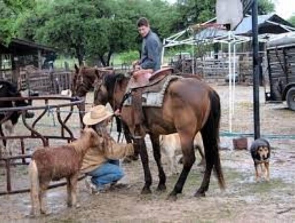 Horses and a friendly dog roam freely in the surrounding countryside.