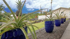 A garden with potted plants, a white building, and a clear sky.