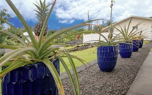 A garden with potted plants, a white building, and a clear sky. - Moana Sunrise Villa- Resort-like pool, hot tub and A/C! This place has it all! (Keaau)