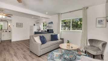 Smart TV, books, video library