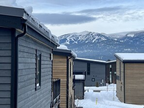 A row of modern cabins with a snowy mountain backdrop.