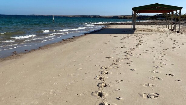 Une plage où l’on voit des empreintes de pas menant à un pavillon abrité.