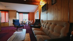 TV, fireplace, books, video library