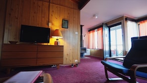 TV, fireplace, books, video library