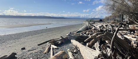 Vue sur la plage/l’océan