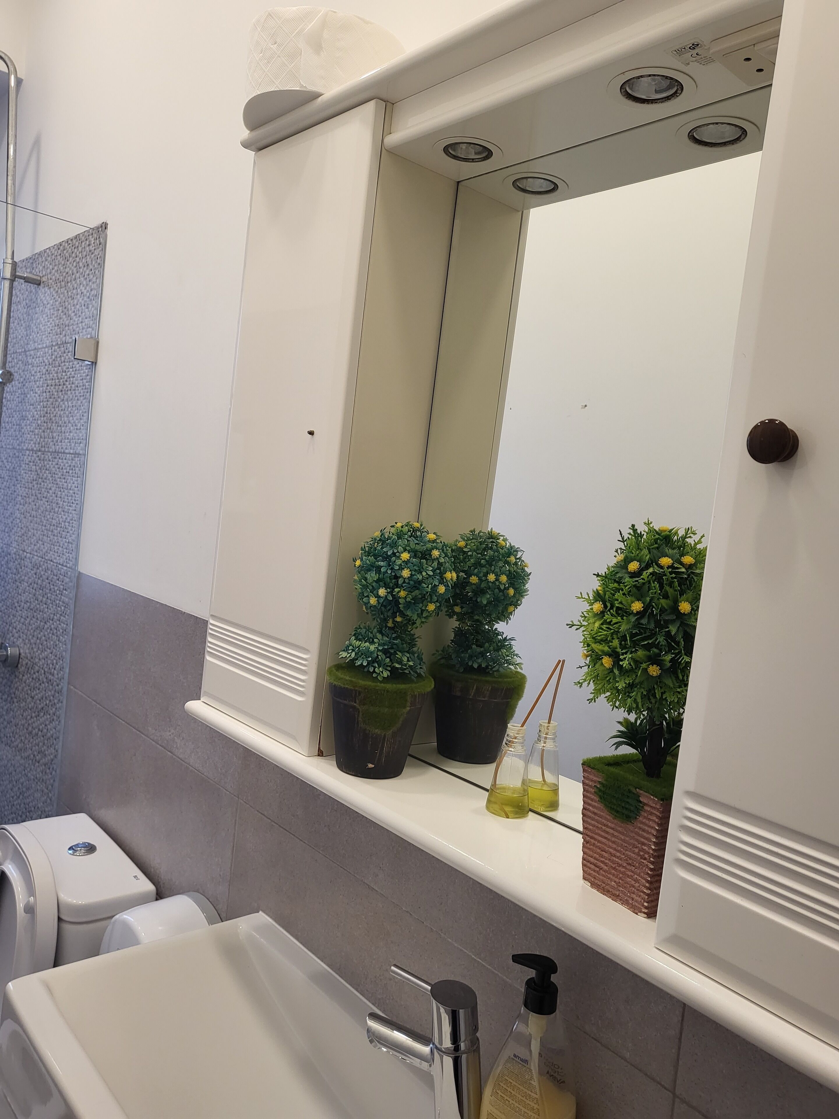 Un bany amb un lavabo blanc, un mirall a sobre i dues plantes en testos a l'estant.