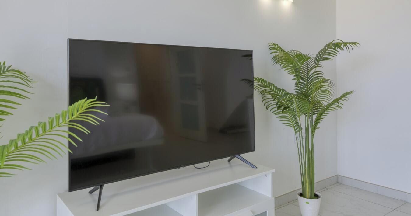 Un téléviseur à écran plat posé sur un meuble blanc, une plante en pot à côté, et un mur blanc.