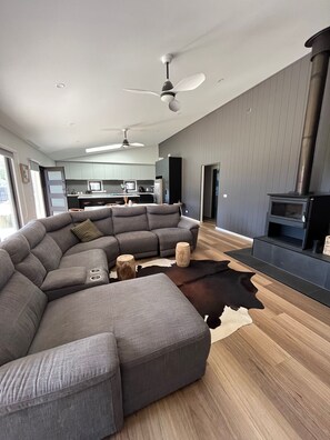 Smart-TV, Kamin