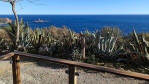 A coastal view with a wooden railing, agave plants, and a clear blue sky.
