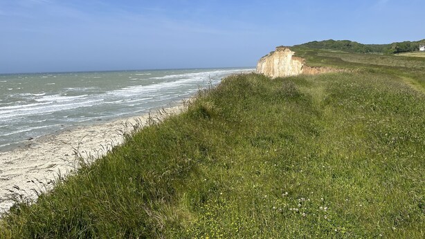 A coastal landscape with a sandy beach, grassy areas, and a cliff overlooking the sea.