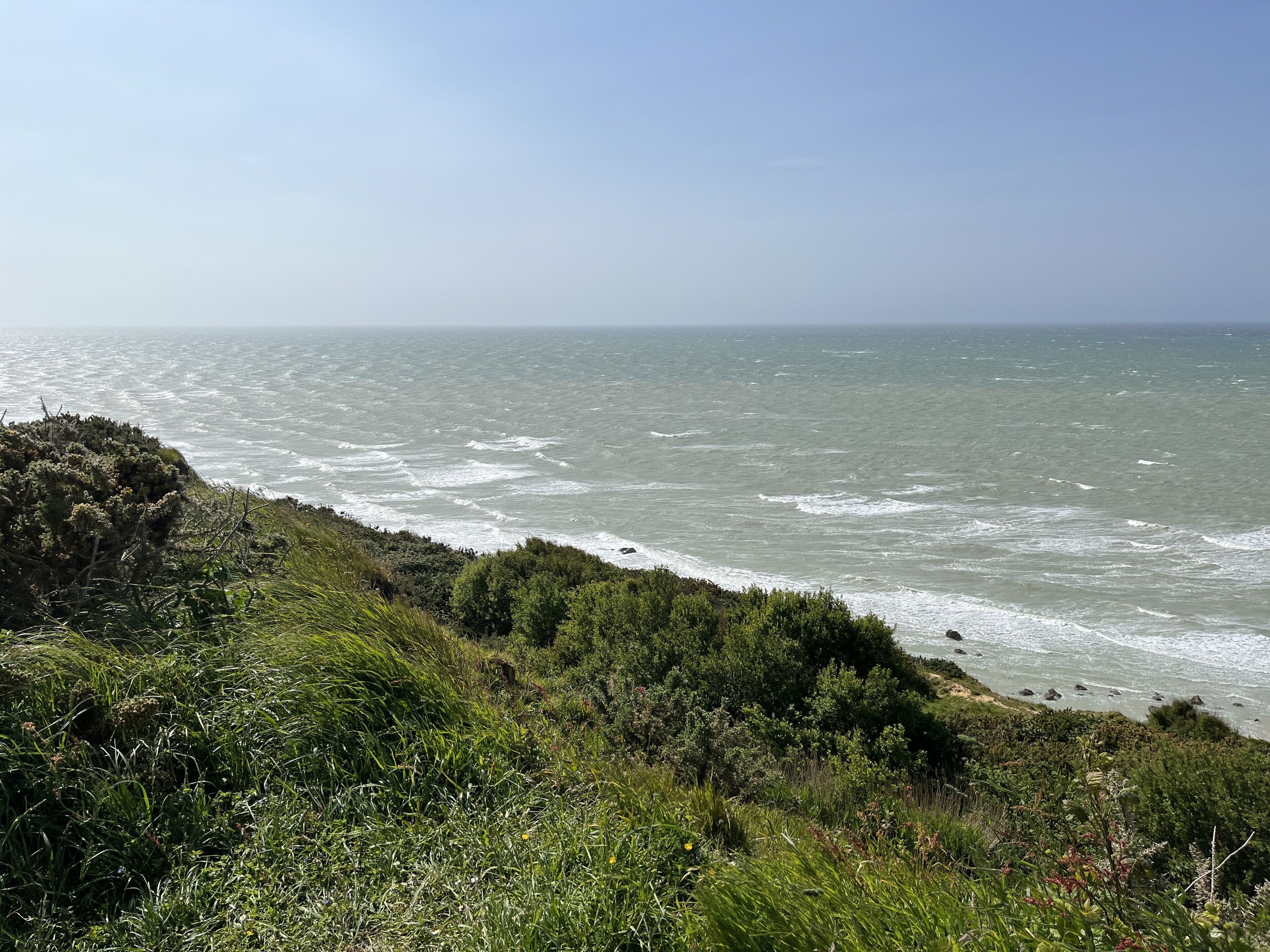 A coastal landscape with a grassy cliff and ocean waves.