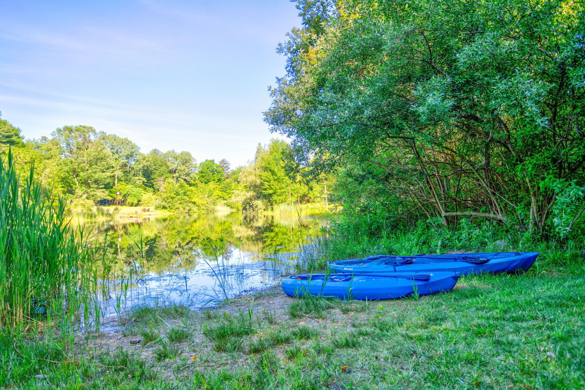 Crescent Cottage | 3 BR | Lake Access | Kayaks