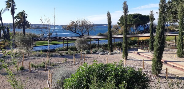 A landscaped garden with a pergola, a pathway, and a view of the sea.